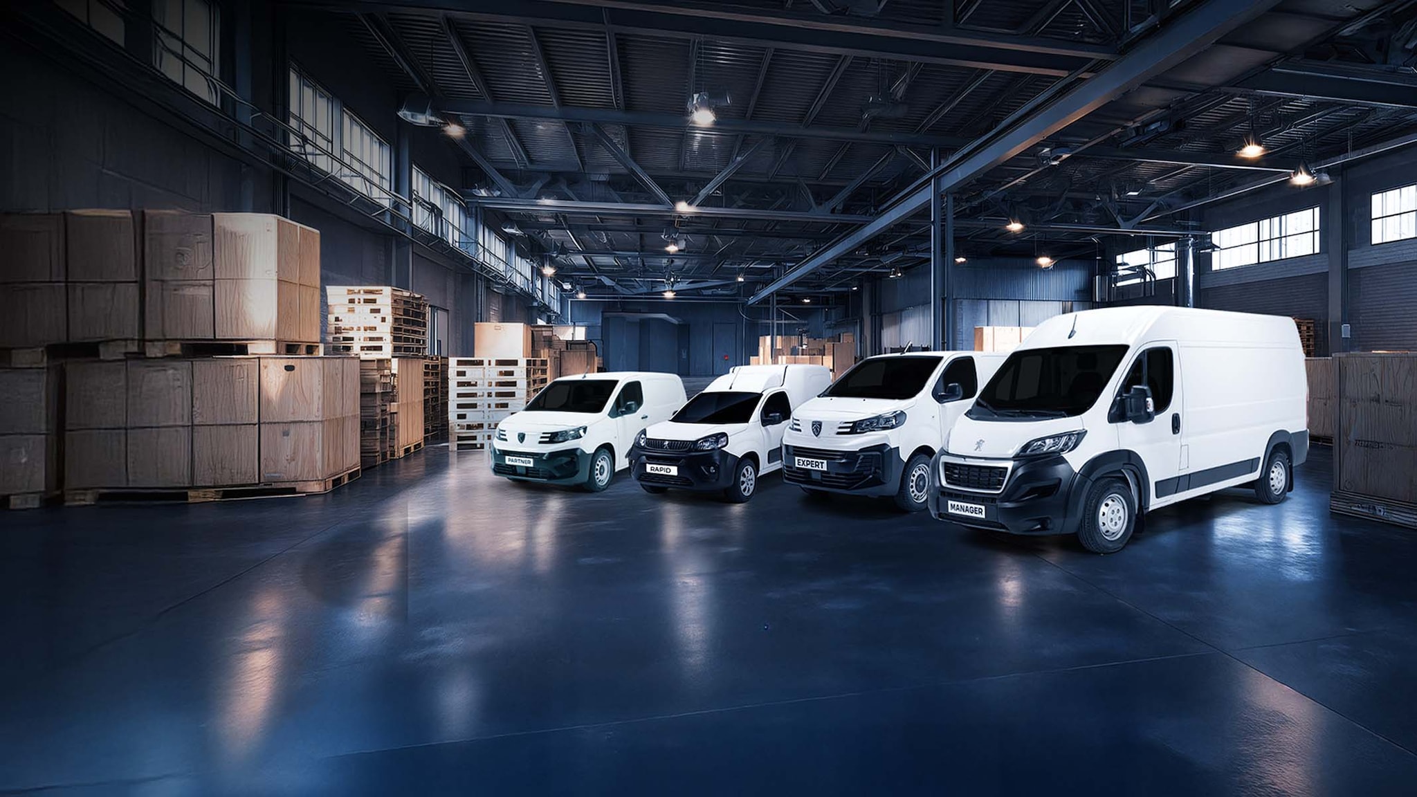 Gama Peugeot Professional: Partner, Rapid, Expert y Manager · Pro Querétaro